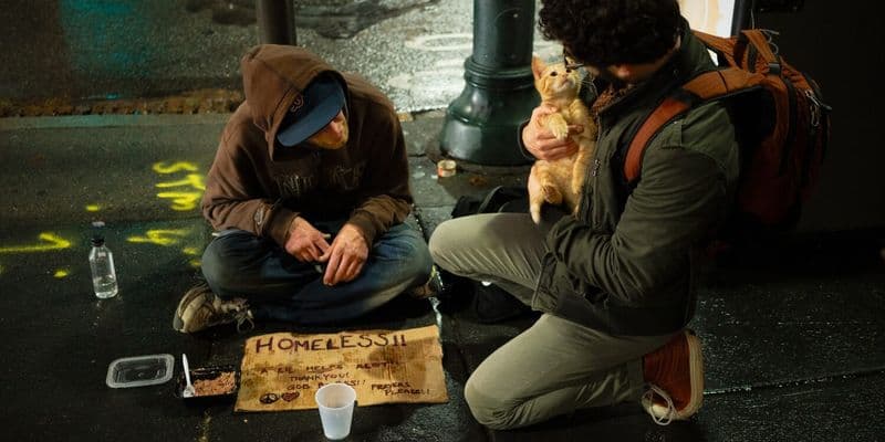 El Senado aprueba la ley para la distribución equitativa de solicitantes de asilo