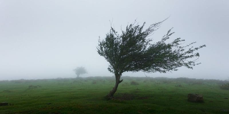 Alerta: La tormenta Isha desencadena código naranja