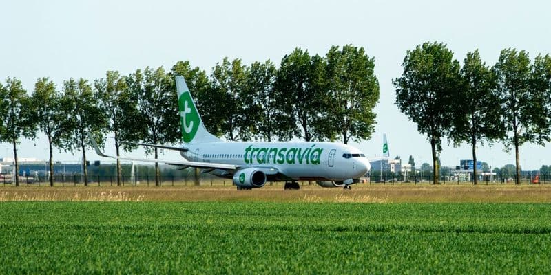 Transavia impondrá tarifas por equipaje de mano a partir de abril