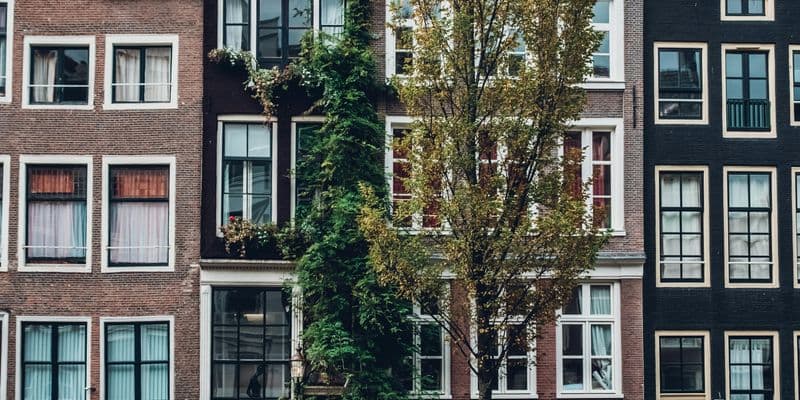 parked bicycles in front of establishment during daytime